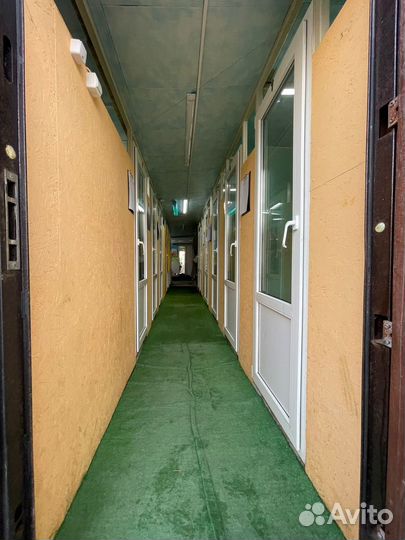 Зоогостиница для собак