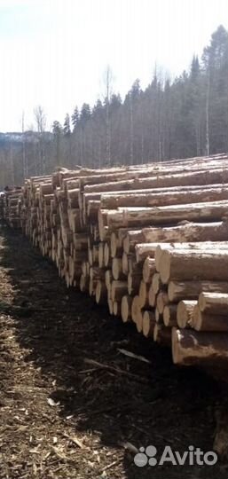 Продам лес кругляк