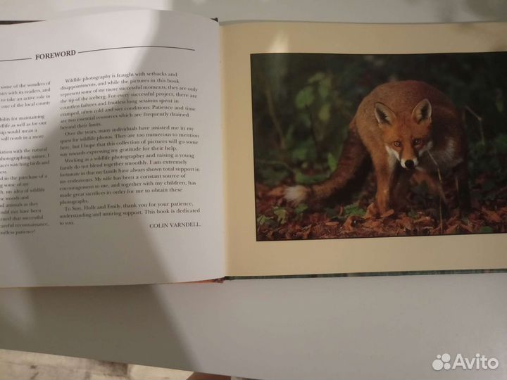 Wildlife in the West Country by Colin Varndell