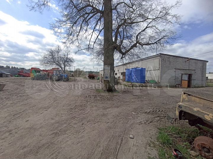 Участок 65 сот. (личное подсобное хозяйство (лпх))