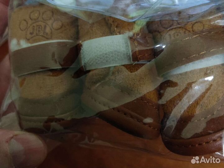 Обувь для собак