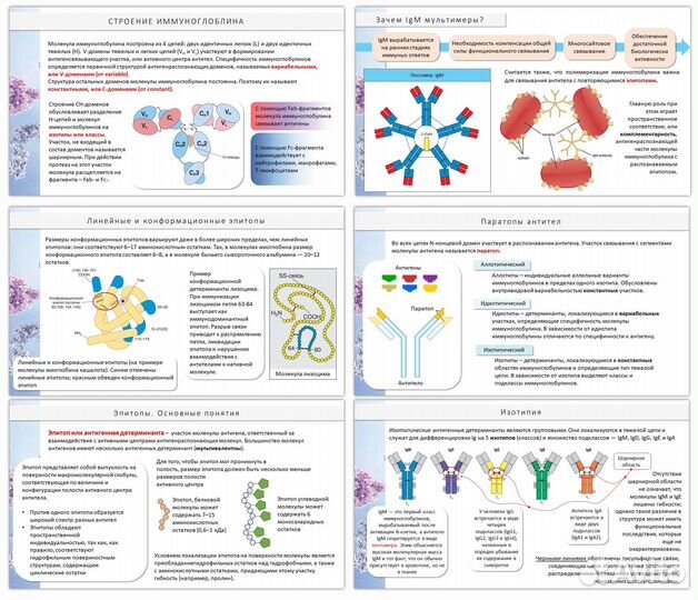 Презентация в power point на заказ