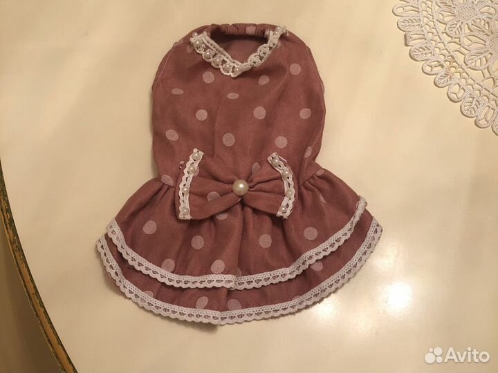 Одежда для чихуахуа