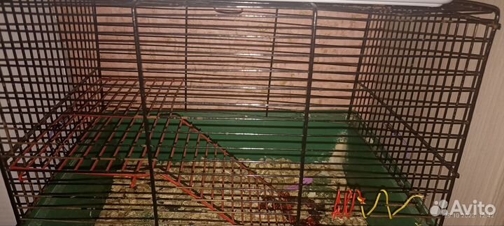 Клетка для грызунов бу