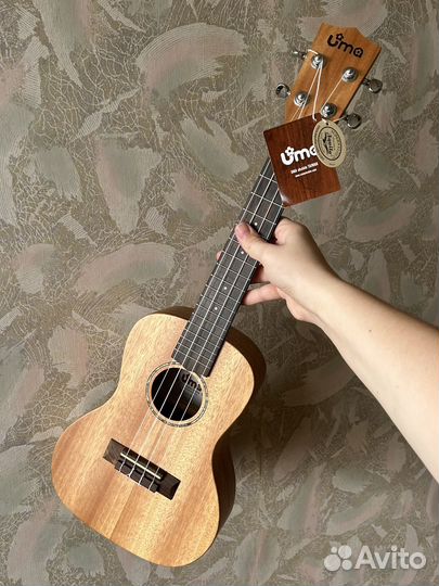 Укулеле концерт