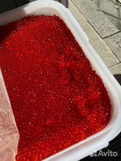 Красная икра оптом