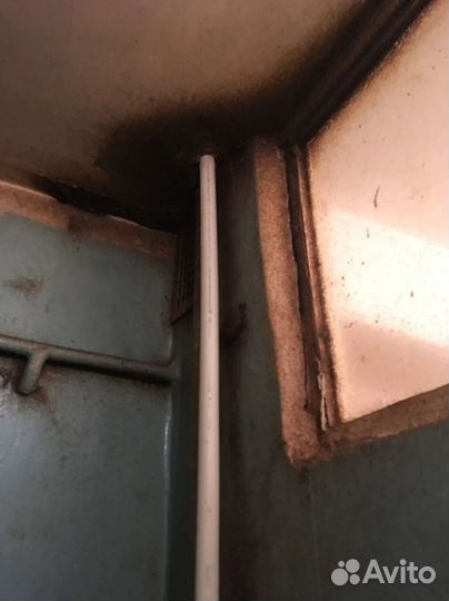 Уничтожение клопов тараканов дезинфекция плесени