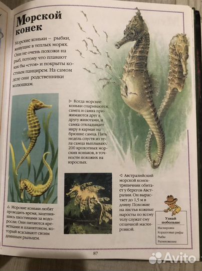 Энциклопедия