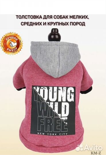 Одежда для собак