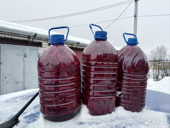 Клюква, брусника, опт