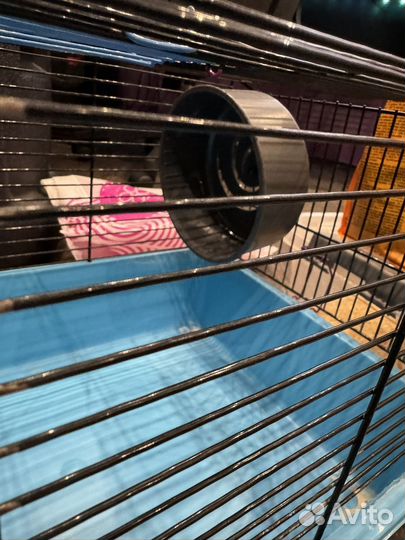 Клетка для грызунов