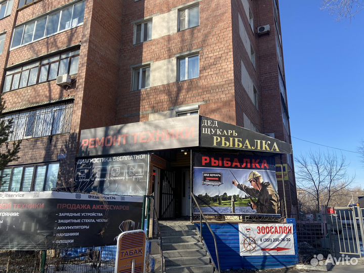 Черви опарыш Дендробена Мотыль