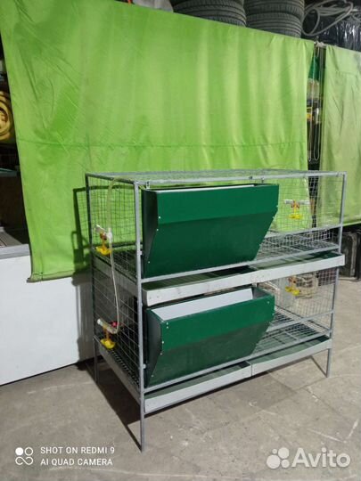 Клетка для бройлеровна с бункерной кормушкой