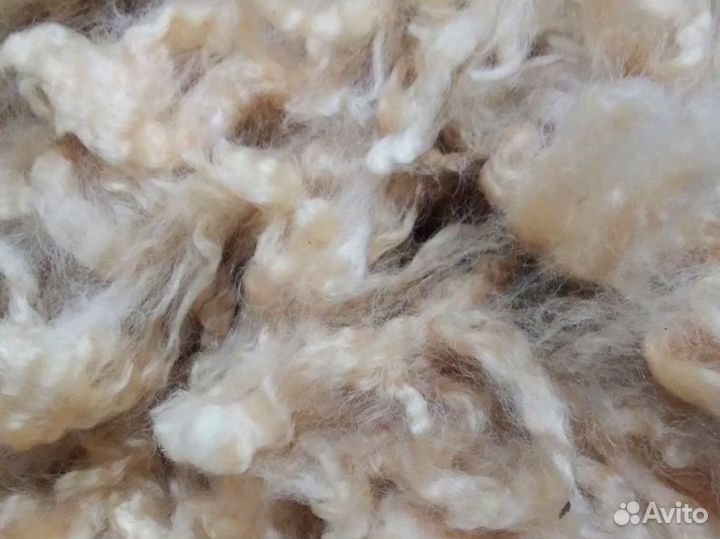 Шерсть овечья мытая