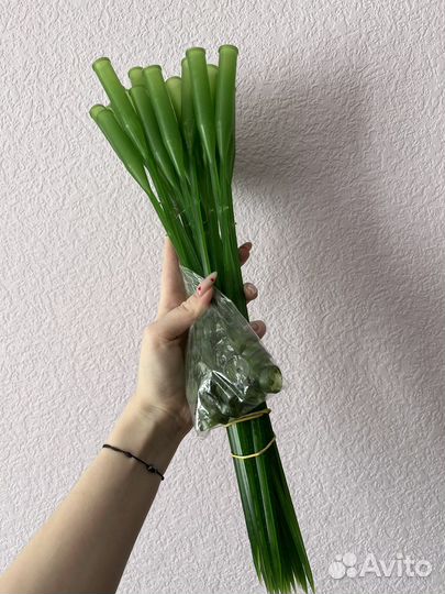 Пластиковый держатель,удлинитель для цветов