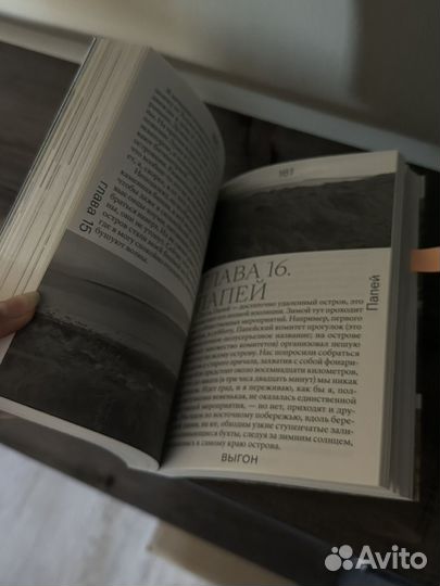 Выгон Эми Липтрот книга