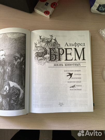 Книга Альфред Брем Жизнь Животных