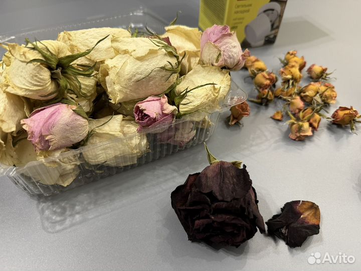 Сухие бутоны роз