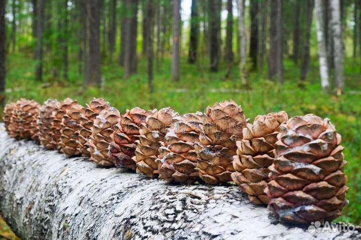Рабочий