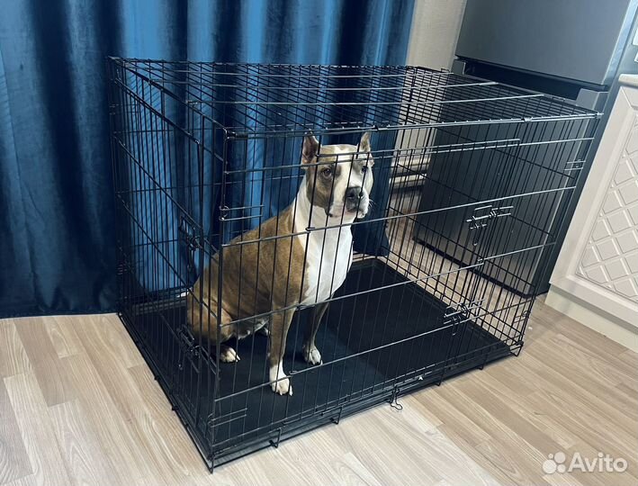 Клетка вольер для большой собаки