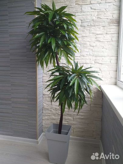 Искусственное дерево манго узколистный, персик