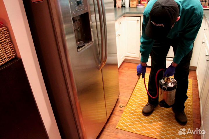 Дезинфекция, травля клопов тараканов