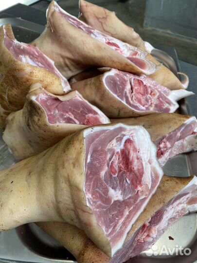 Рульки свиные,ножки,уши Набор для холодца