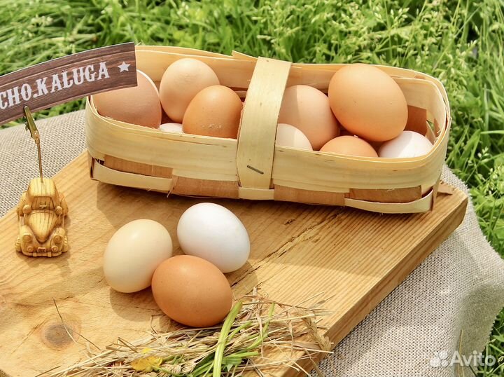 Яйца Домашние Куриные