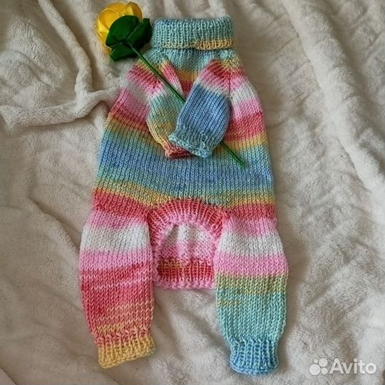 Одежда для собак и кошек