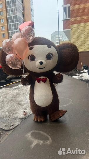 Аниматор поздравление