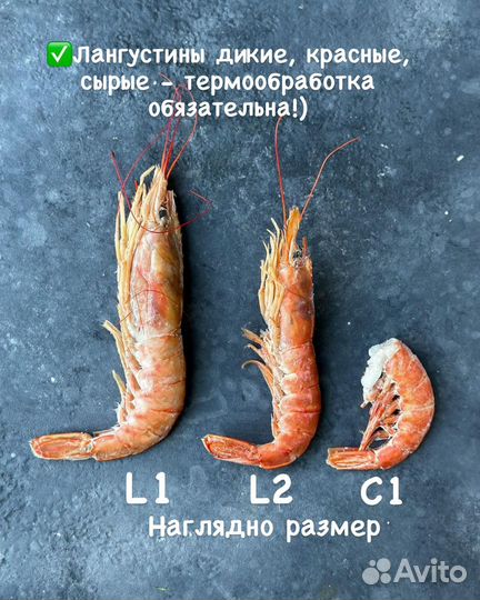 Лангустины