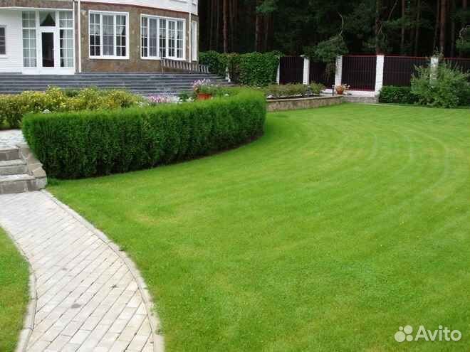 Укладка и продажа рулонного газона