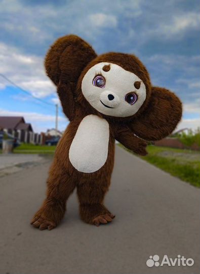 Поздравление Чебурашки в Белгороде