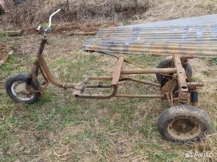 Муравей ходовая