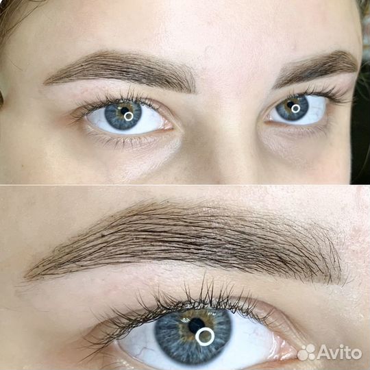 Курсы бровистов