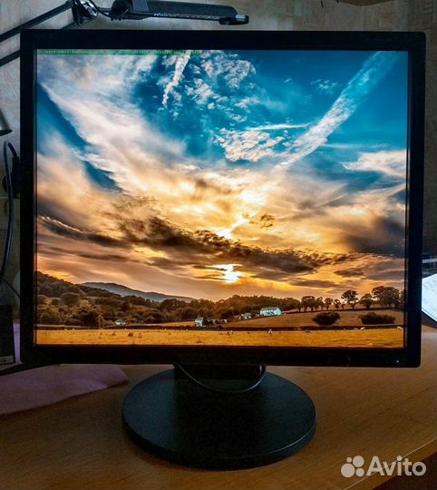 NEC MultiSync EA191M