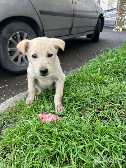 Выкинули на трассе