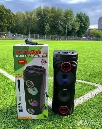 Портативная колонка большая с микрофоном