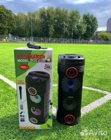 Портативная колонка большая с микрофоном
