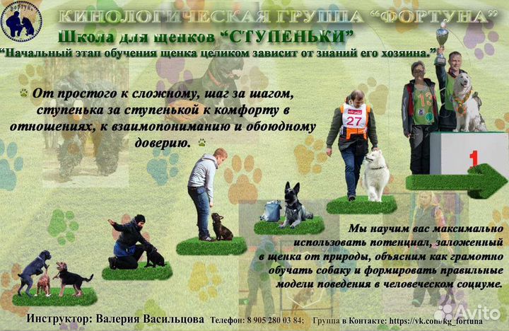 Кинолог. Дрессировка и обучение собак