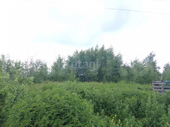 Участок 7,7 сот. (СНТ, ДНП)