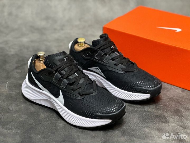 Кроссовки Nike Pegasus Trail 3