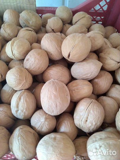 Фрукты Овощи Камышин