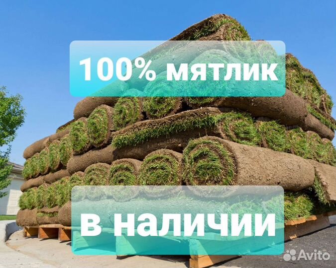 Рулонный газон
