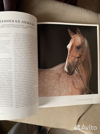 Лошиди навсегда. Иллюстрированная энциклопедия