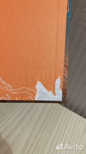 Костяная ведьма, книга