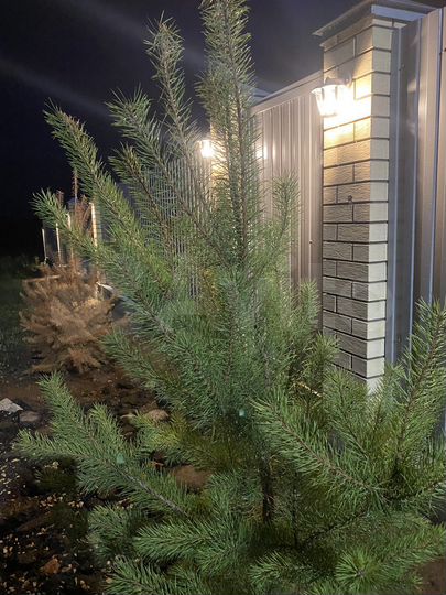 Коттедж 163 м² на участке 8 сот.