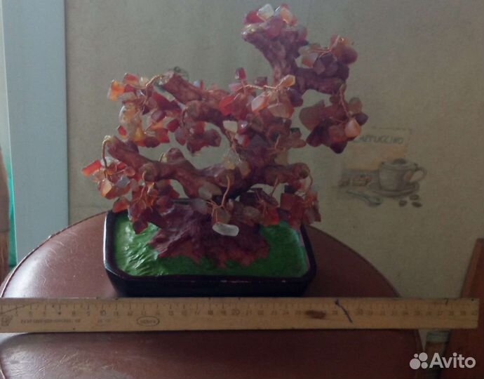 Денежное дерево