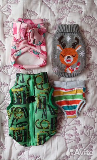 Одежда для мелких пород собак или щенков