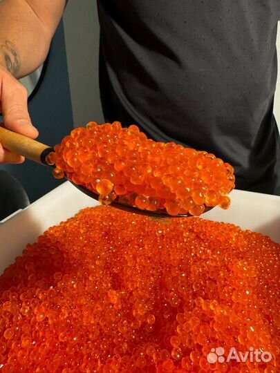 Икра оптом форель. Оптовикам